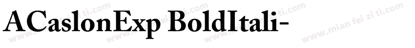 ACaslonExp BoldItali字体转换
